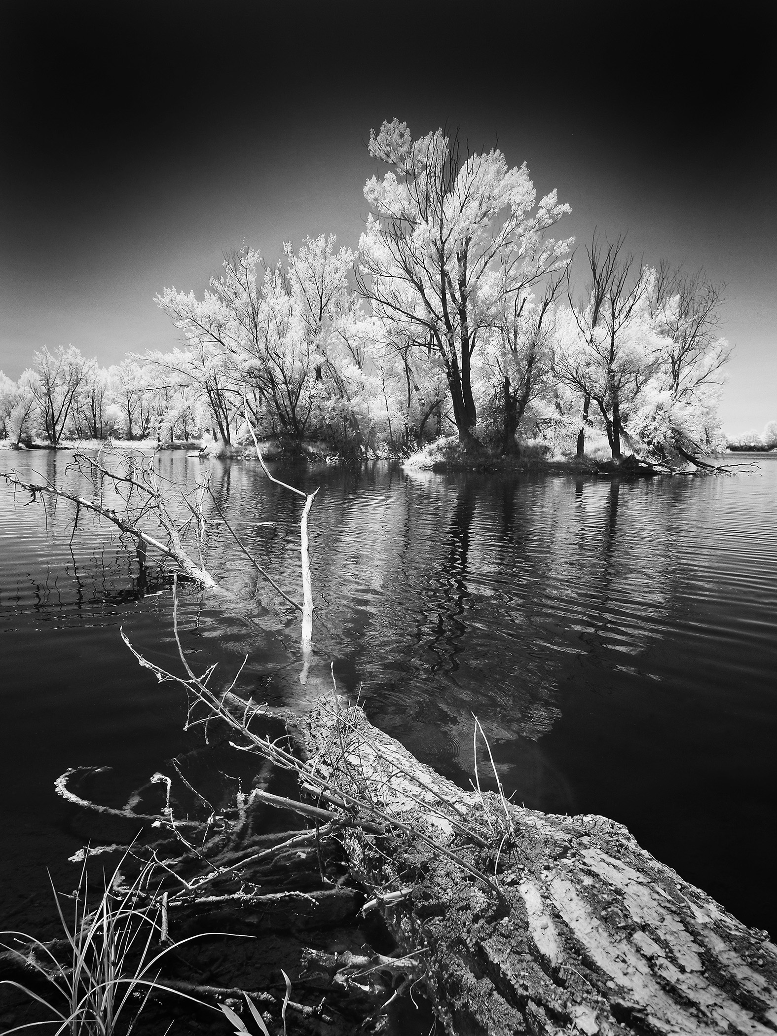 P6201839 - kópia