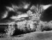 P9153718 - kópia