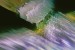 000031_upscale - kópia 2