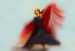 FLAMENCO - kópia 2